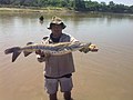 Pescando en el Río Bermejo, cerca de Orán..jpg