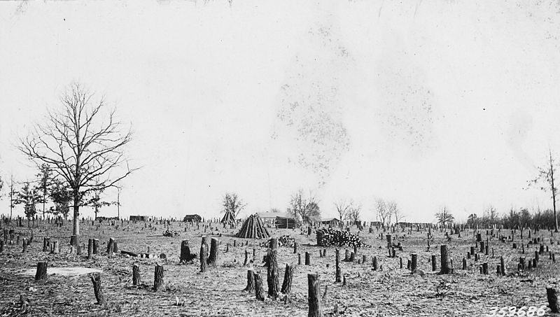 File:Photograph of Destructive Land Clearing - NARA - 2127906.jpg