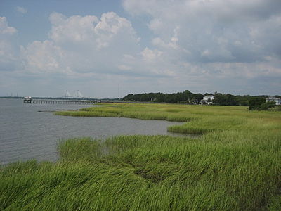 View from the old Pitt Street Bridge in Old Village