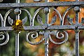 English: Cutout from the wrought iron entrance gate Deutsch: Ausschnitt des schmiedeeisernen Einfahrtstores