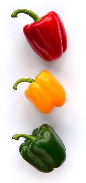 File:Green-Bell-Pepper.jpg - Wikimedia Commons