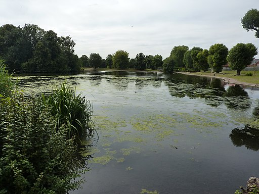 Pond in Alvaston Park, Derby - geograph.org.uk - 2523175