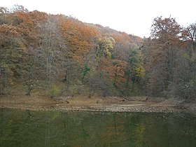 Imagen ilustrativa del artículo Lago Popovica