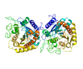 Miniatura para Carboxipeptidasa pancreática