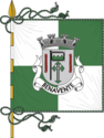 Benavente - Flag