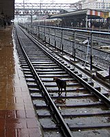 Punen rautatieasemalta on säännöllisiä junavuoroja lähikaupunkeihin.