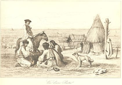 Cattle herders in the puszta of Hungary, c. 1852