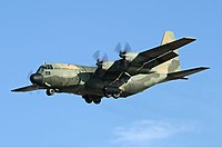 RAAF Lockheed C-130H Hercules AVV Creek.jpg