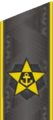 Cầu vai Đô đốc hạm đội (Адмирал флота) Liên bang Nga
