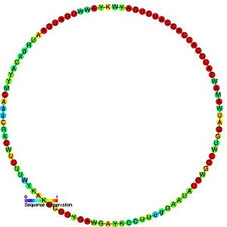 <span class="mw-page-title-main">Small nucleolar RNA snR55/Z10</span>