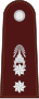 Police Lieutenant Colonel