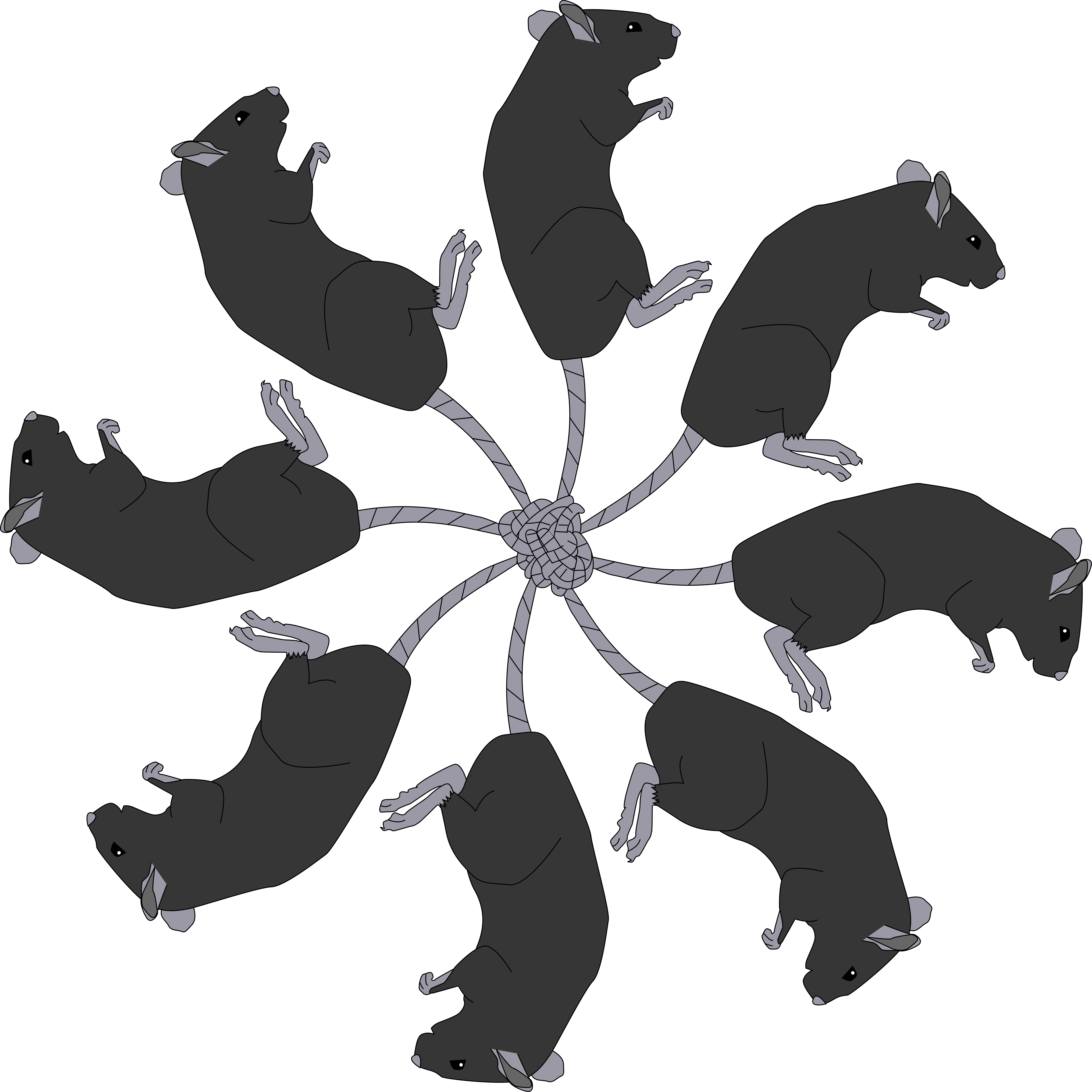Freehand Drawn Cartoon Rat King Royalty Free SVG, Cliparts, Vectors, and  Stock Illustration. Image 54064155.