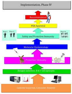 Reverse vaccinology