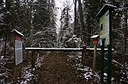 Polski: Rezerwat przyrody Cisy nad Liswartą