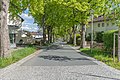 * Nomination Robert Koch street in Hof, Germany. --PantheraLeo1359531 19:00, 25 June 2021 (UTC) * Promotion  Support Good quality. --Steindy 21:08, 25 June 2021 (UTC)