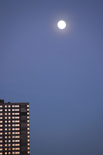 File:Rotterdam by night (43273814474).jpg