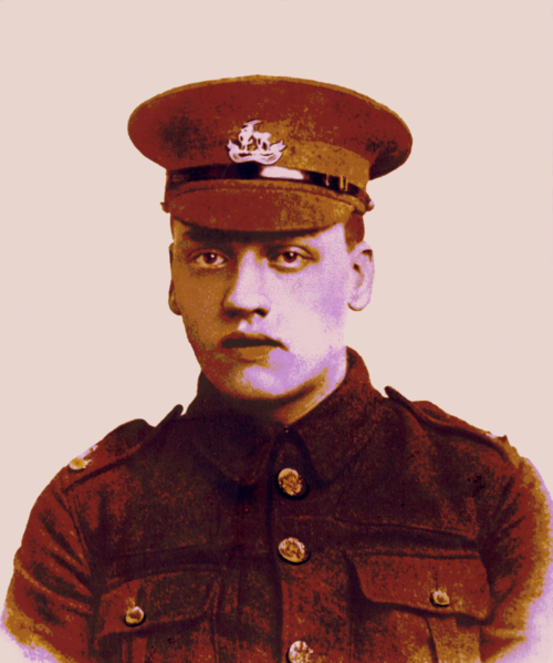 File:Royal Warks Regt WW1 Private.png