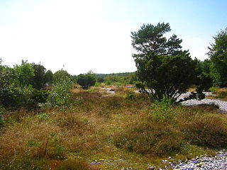 <span class="mw-page-title-main">Stone Fields in the Schmale Heath and Extension</span>