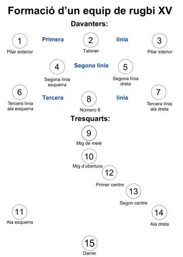 Posicions del rugbi a 15