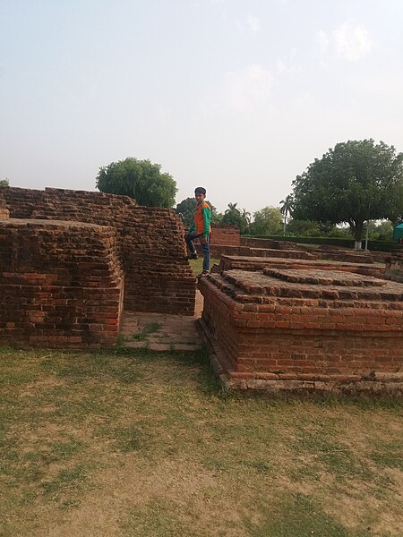 File:Runs of Sarnath.jpg