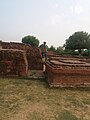 Runs of Sarnath.jpg