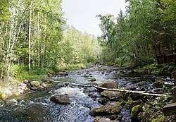 Rutajoen koskiosuutta