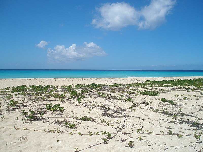 File:Sandy Point Wildlife Refuge beach.jpg