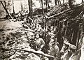 Image 109Russian forest trench at the Battle of Sarikamish, 1914–1915 (from World War I)