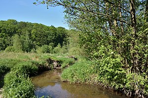 Schleswig-Holstein, Dithmarschen, Landschaftsschutzgebiet Gieselautal NIK 2853.jpg