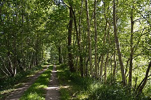 Schleswig-Holstein, Hohenfelde, Landschaftsschutzgebiet Hohenfelder Moor NIK 6978.JPG