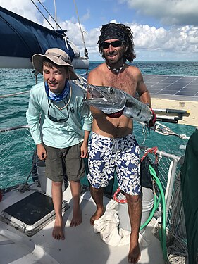 110 cm Great Barracuda (Sphyraena barracuda) caught by a scout participating in Sea Base camp at Bahamas