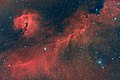 Amateur image of the Seagull Nebula, from an 11" telescope