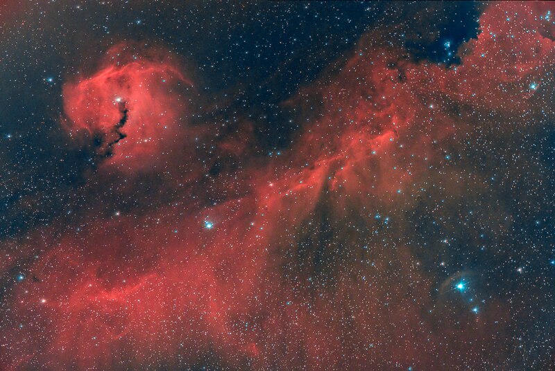 File:Seagull nebula - IC 2177.jpg