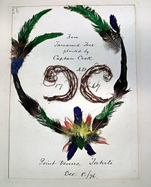 Annie Brassey's tourist memento from visit to Tahiti Seed from Capt. Cook's Tamarind tree.jpg