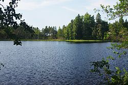 Sjöbackasøen juli 2013.