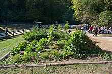 A slave food garden at Mount Vernon - To supplement their diet, enslaved people grew their own food to make stews. Slave food garden - slave cabin at pioneer farm - Mount Vernon.jpg