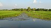 Sonarchar Wildlife Sanctuary 28.jpg