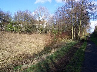 <span class="mw-page-title-main">Springside railway station</span> Former railway station in Scotland