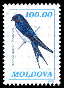 Barn swallow, Hirundo rustica Stamp of Moldova 181.gif