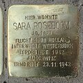 Stolperstein für Sara Rosenboom