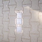 Stumbling Stones Bingen Am Burggraben 1.jpg