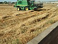 Straw lines and Combine Harvester.jpg