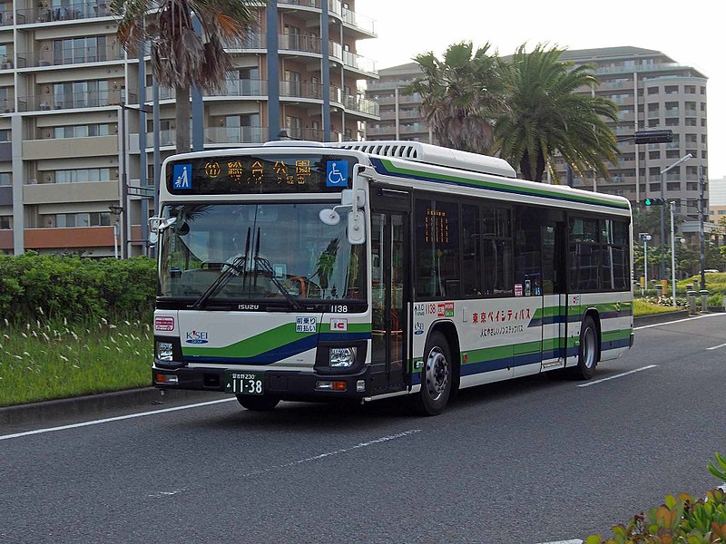 File:TBCK 1138 ERGA LV290.jpg