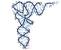 tRNA Phe, from PDB 1ehz