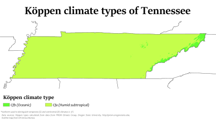 Download Tennessee Wikiwand PSD Mockup Templates