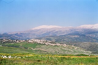 <span class="mw-page-title-main">Ibl al-Saqi</span> Town in Nabatieh Governorate