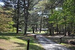 TownshendVT TownshendStatePark.jpg