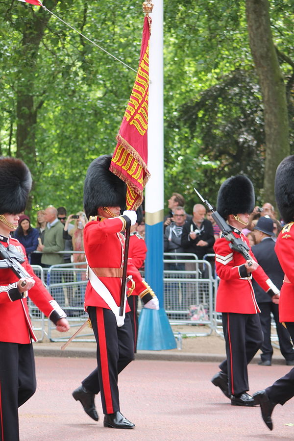 The Grenadier Guards colours