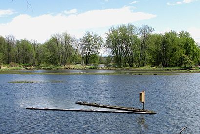 How to get to Petrie Island with public transit - About the place