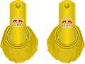 Epaulettes for UK-Royal Navy-OF-5- Captain less than 3yrs seniority 1843-1864